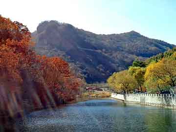 新澳天天开奖资料大全旅游团，富迪卫生巾怎么样